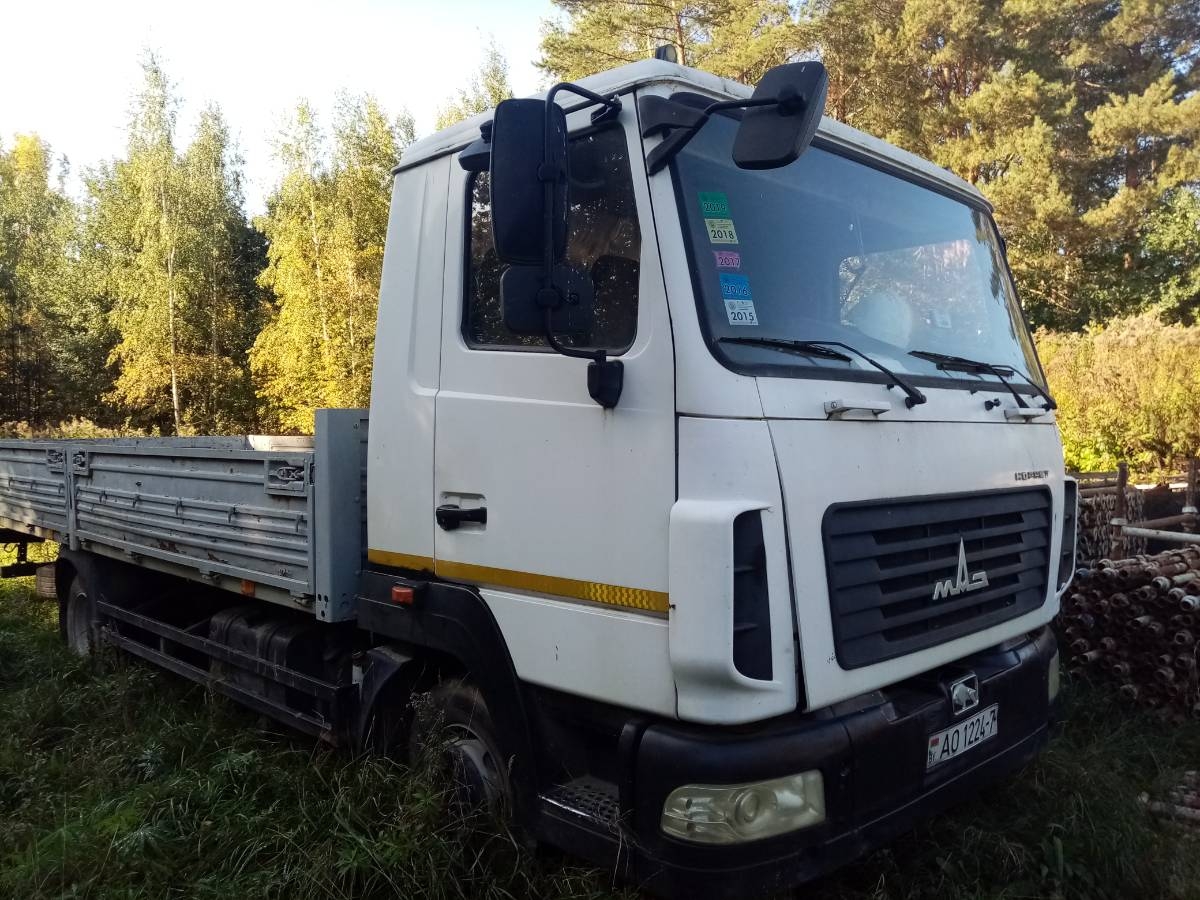 Грузовик бортовой МАЗ 4371 W1 428-000 (2014)